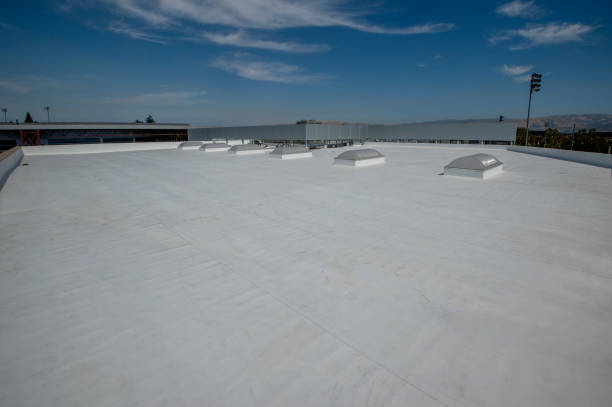 Best Cold Roofs  in Elizabeth City, NC